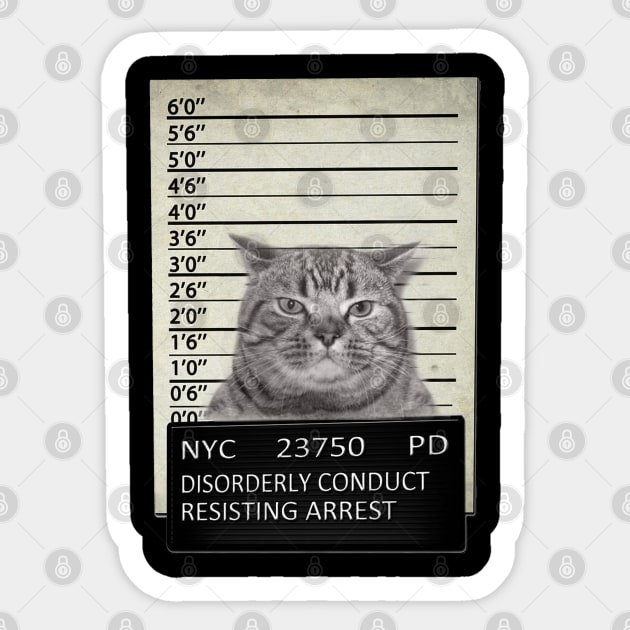 Cat Mugshot NYC Sticker by nafisah